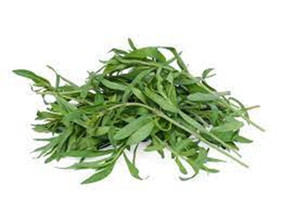 Picture of LAMB BRAND TARRAGON